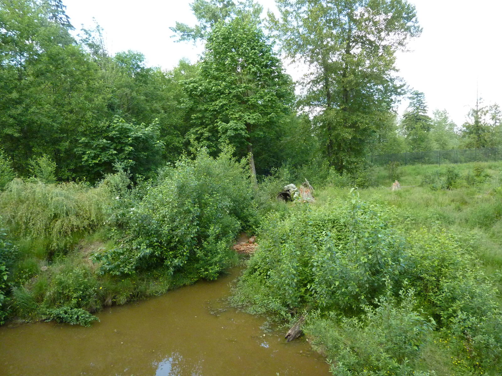 1.5 Acre Grizzly Bear Exhibit