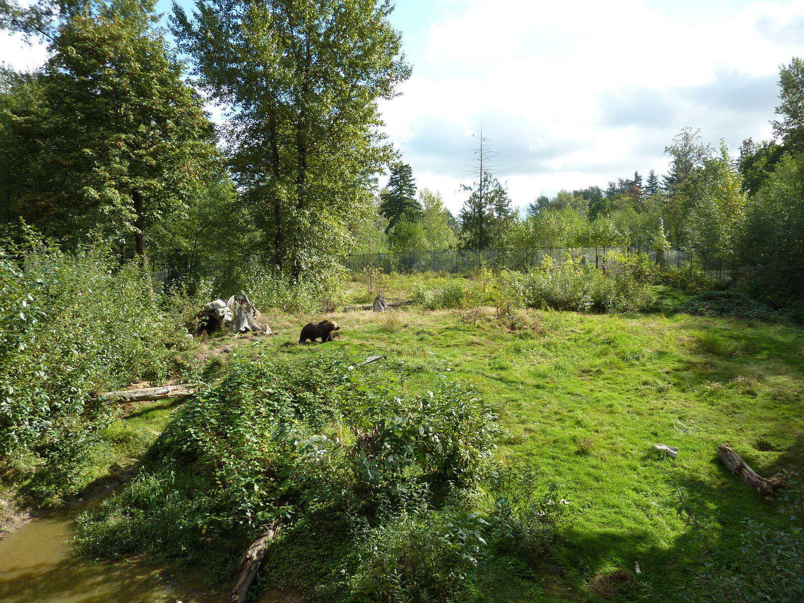 1.5 Acre Grizzly Bear Exhibit