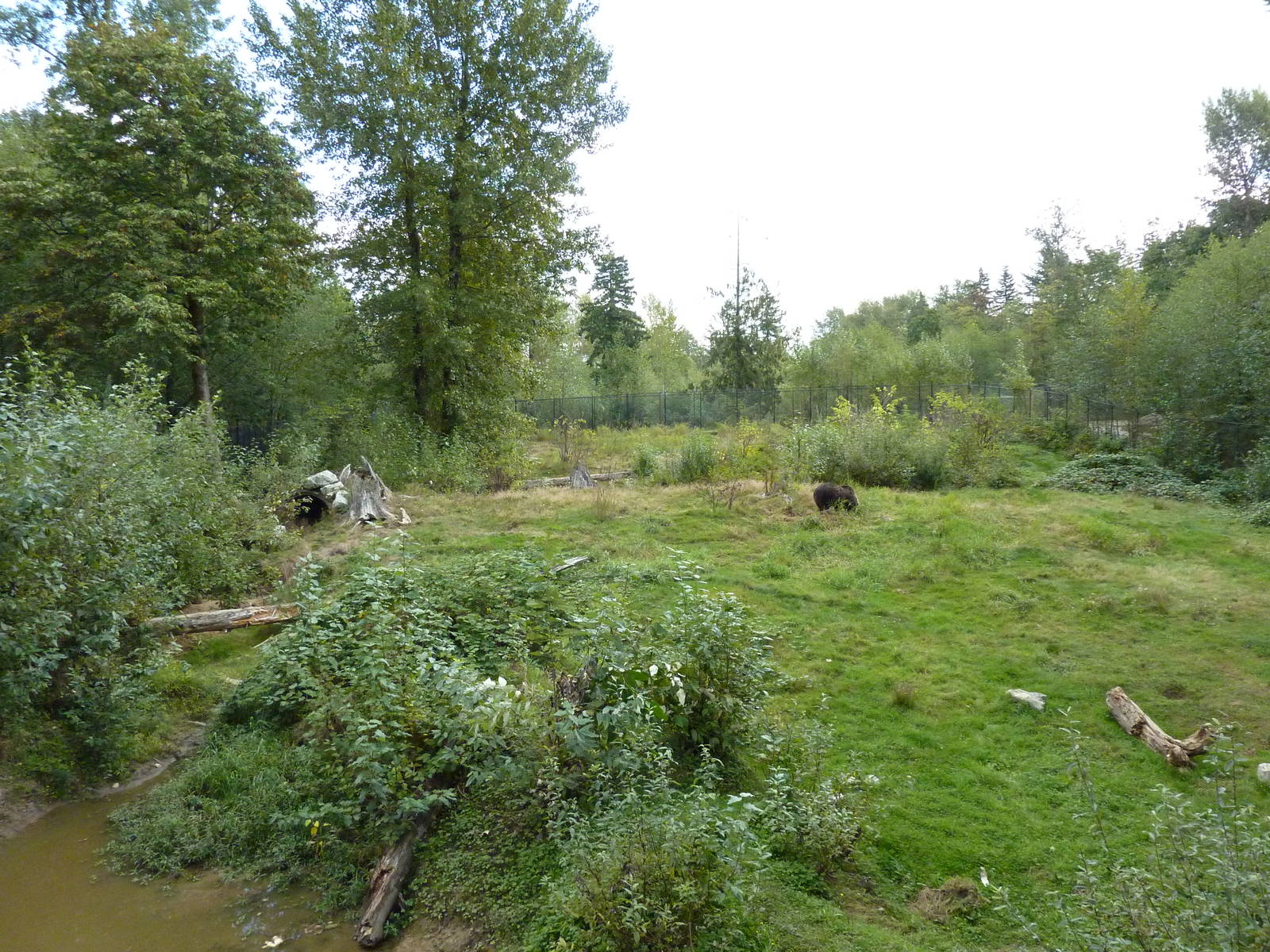 1.5 Acre Grizzly Bear Exhibit