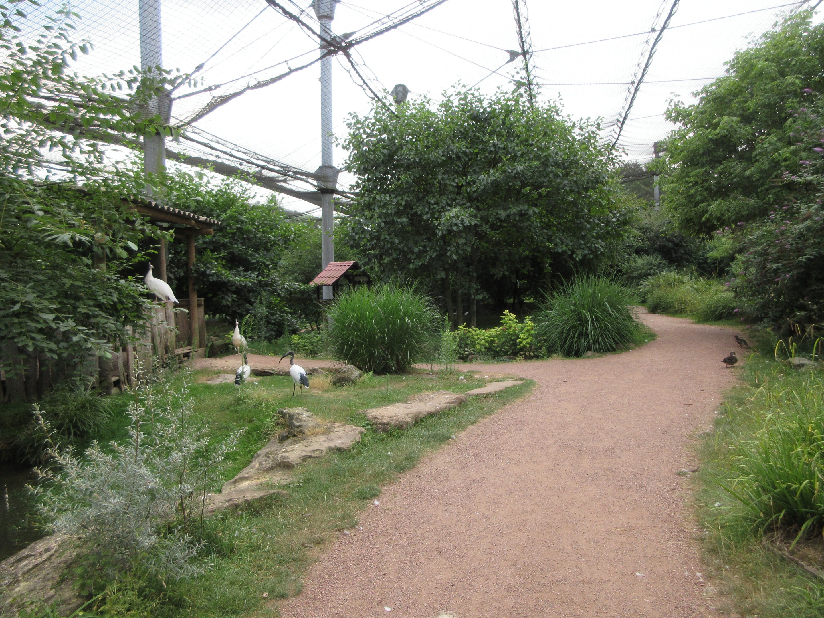 1.5-Acre Waterfowl Aviary