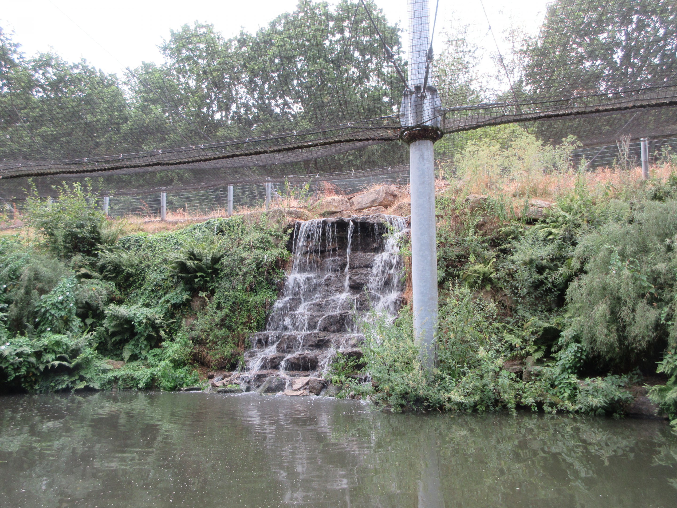 1.5-Acre Waterfowl Aviary