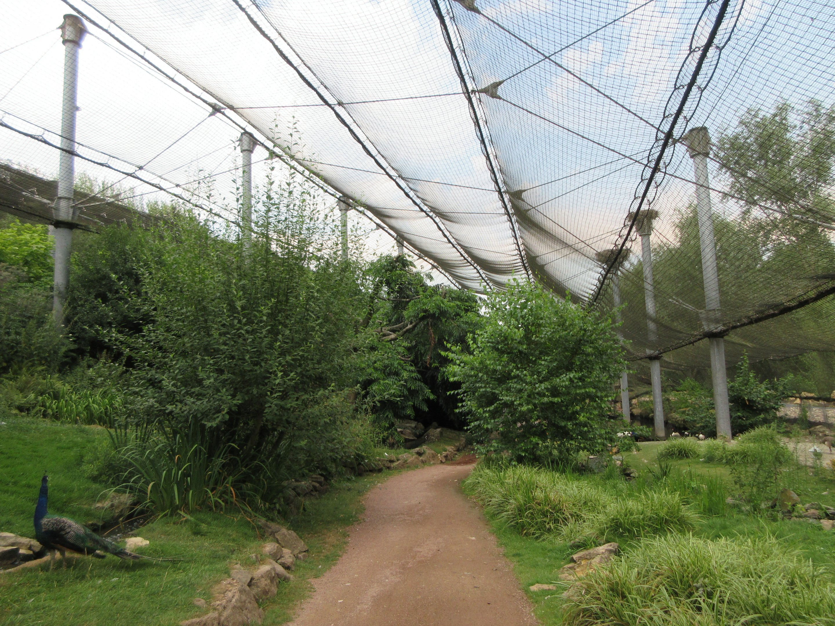 1.5-Acre Waterfowl Aviary