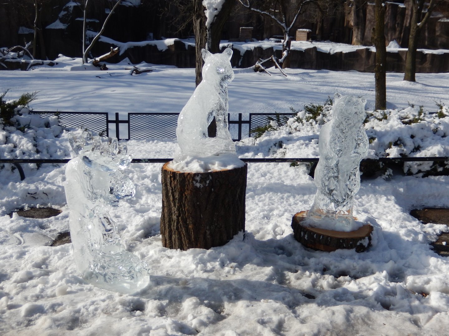 1/6/2016 - Animal Ice Sculptures