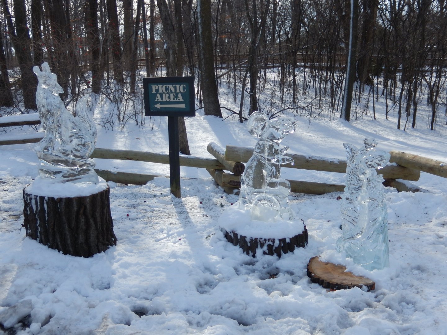 1/6/2016 - Animal Ice Sculptures