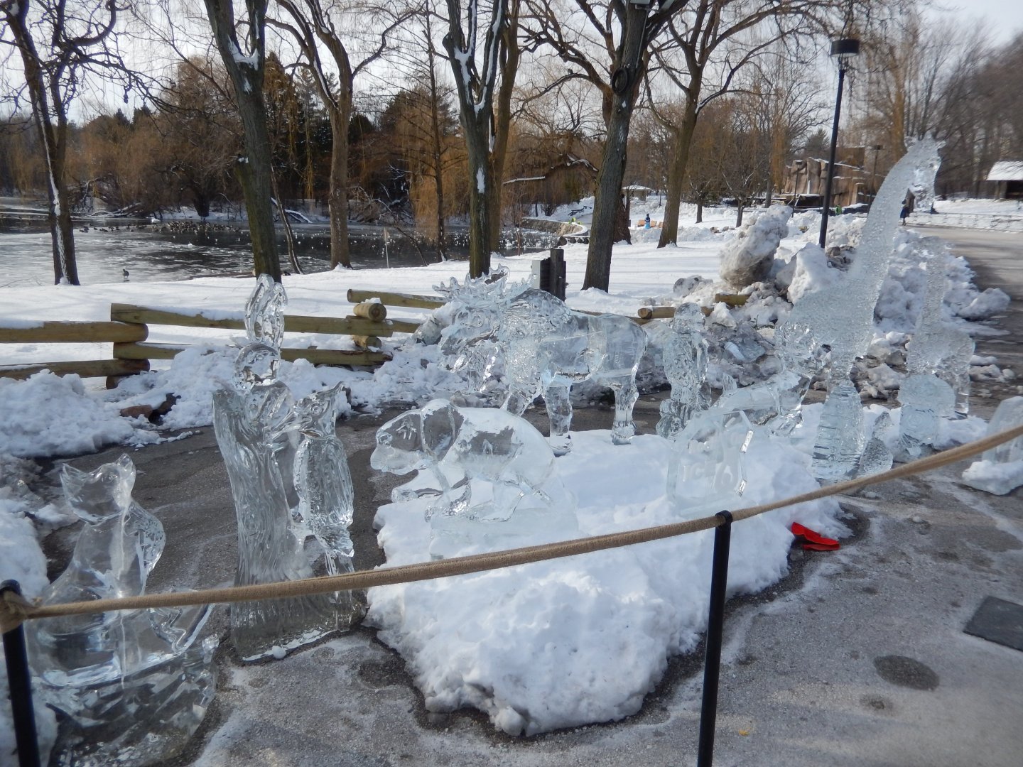 1/6/2016 - Animal Ice Sculptures