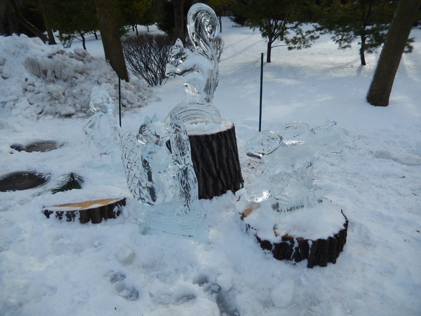 1/6/2016 - Animal Ice Sculptures