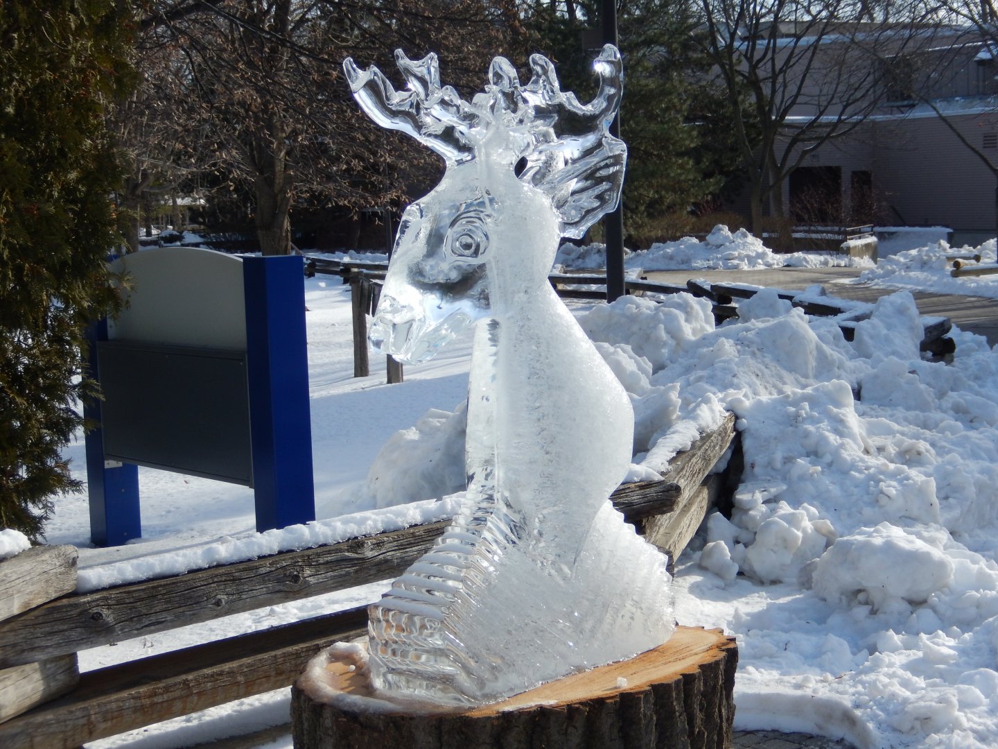 1/6/2016 - Deer Ice Sculpture