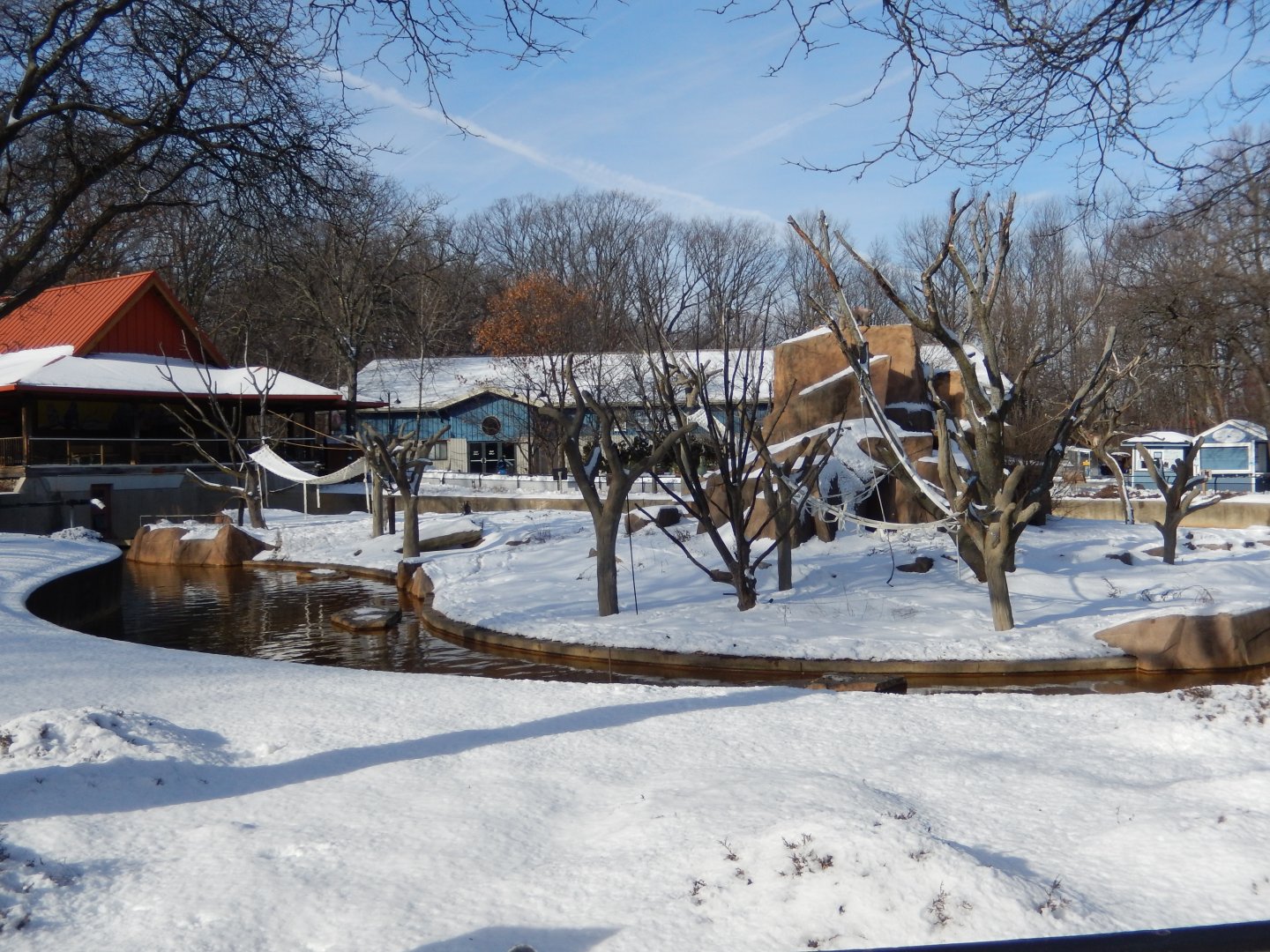 1/6/2016 - Japanese Macaque Habitat