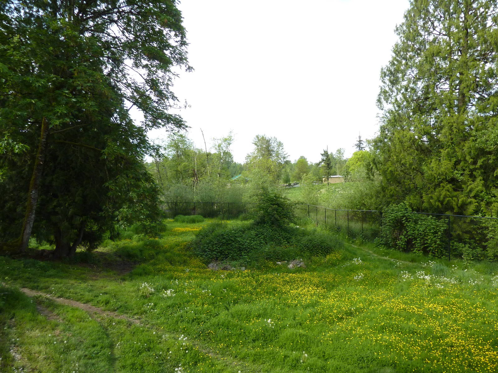 1-Acre Arctic Wolf Enclosure