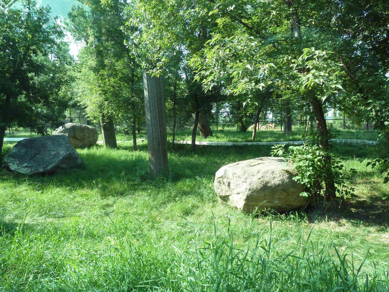 1-Acre Bengal Tiger Exhibit