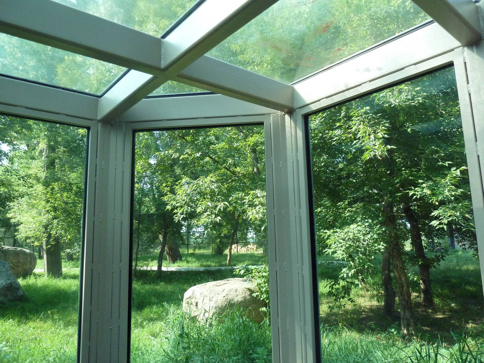 1-Acre Bengal Tiger Exhibit