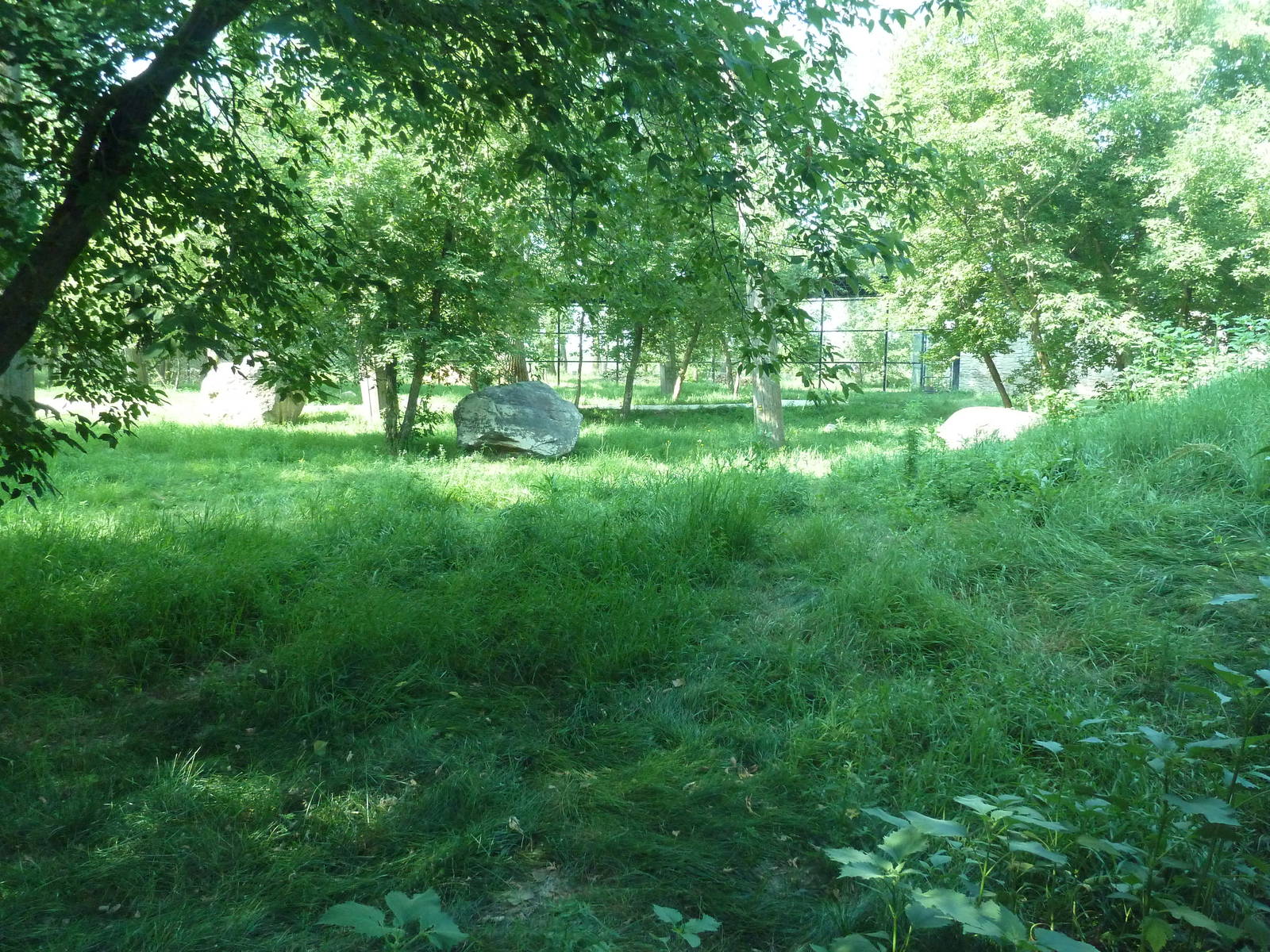 1-Acre Bengal Tiger Exhibit
