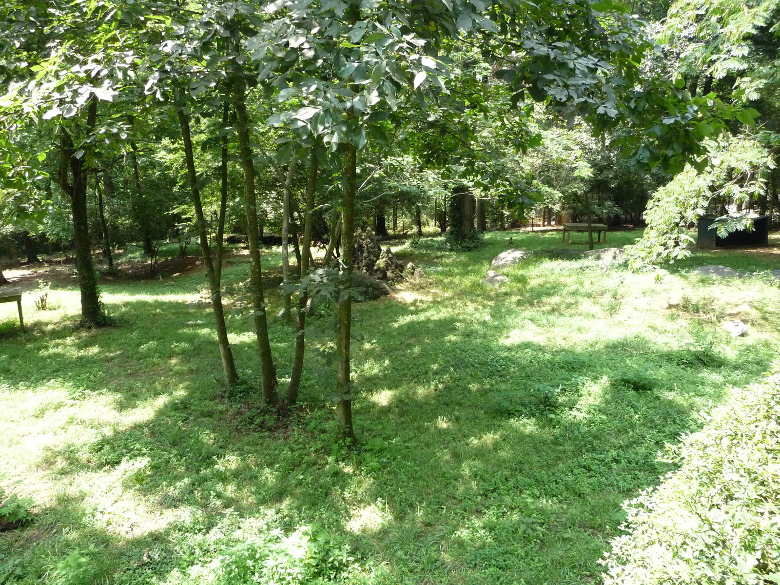 1-Acre Cheetah Exhibit