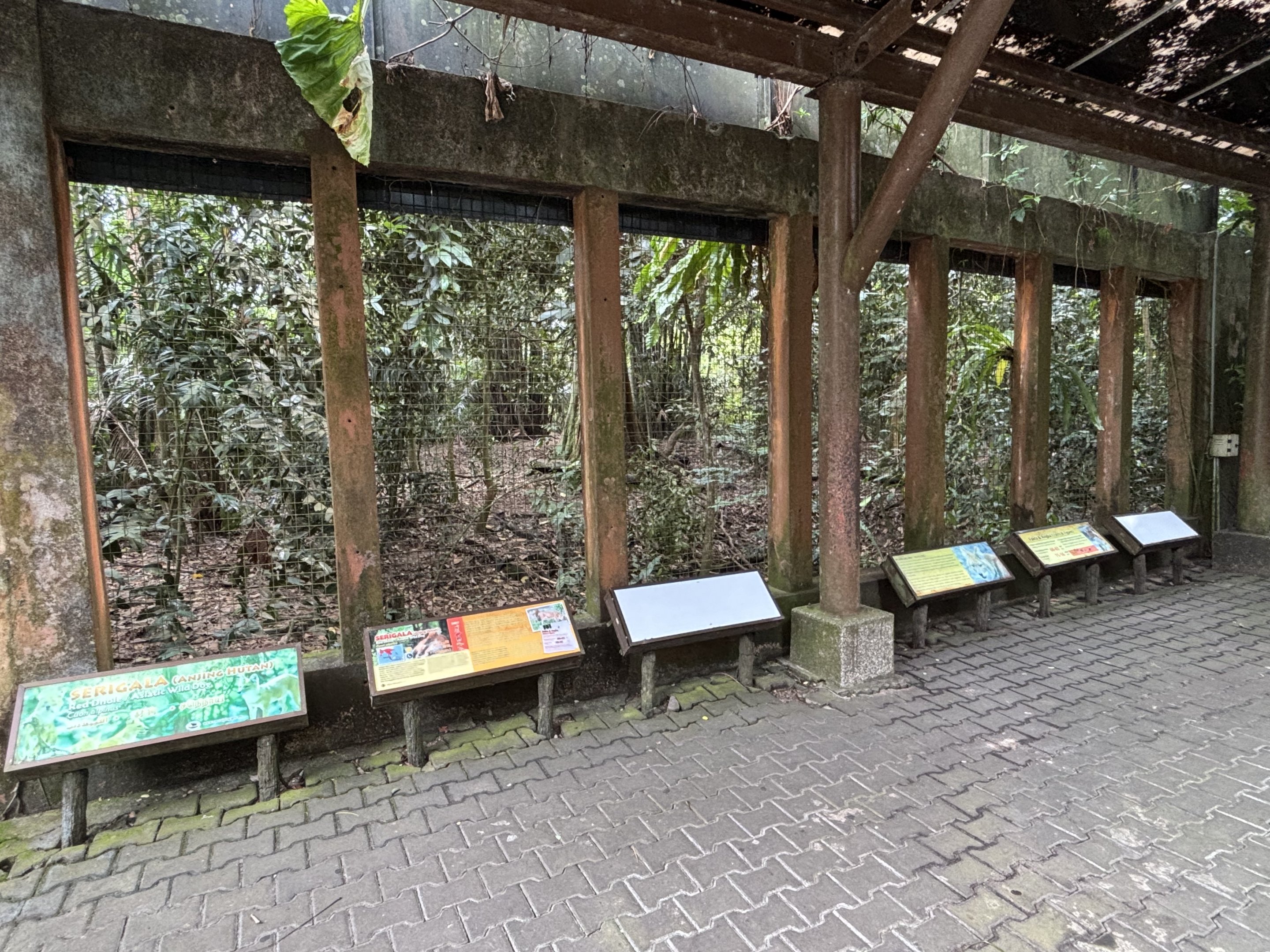 1-acre Dhole Exhibit