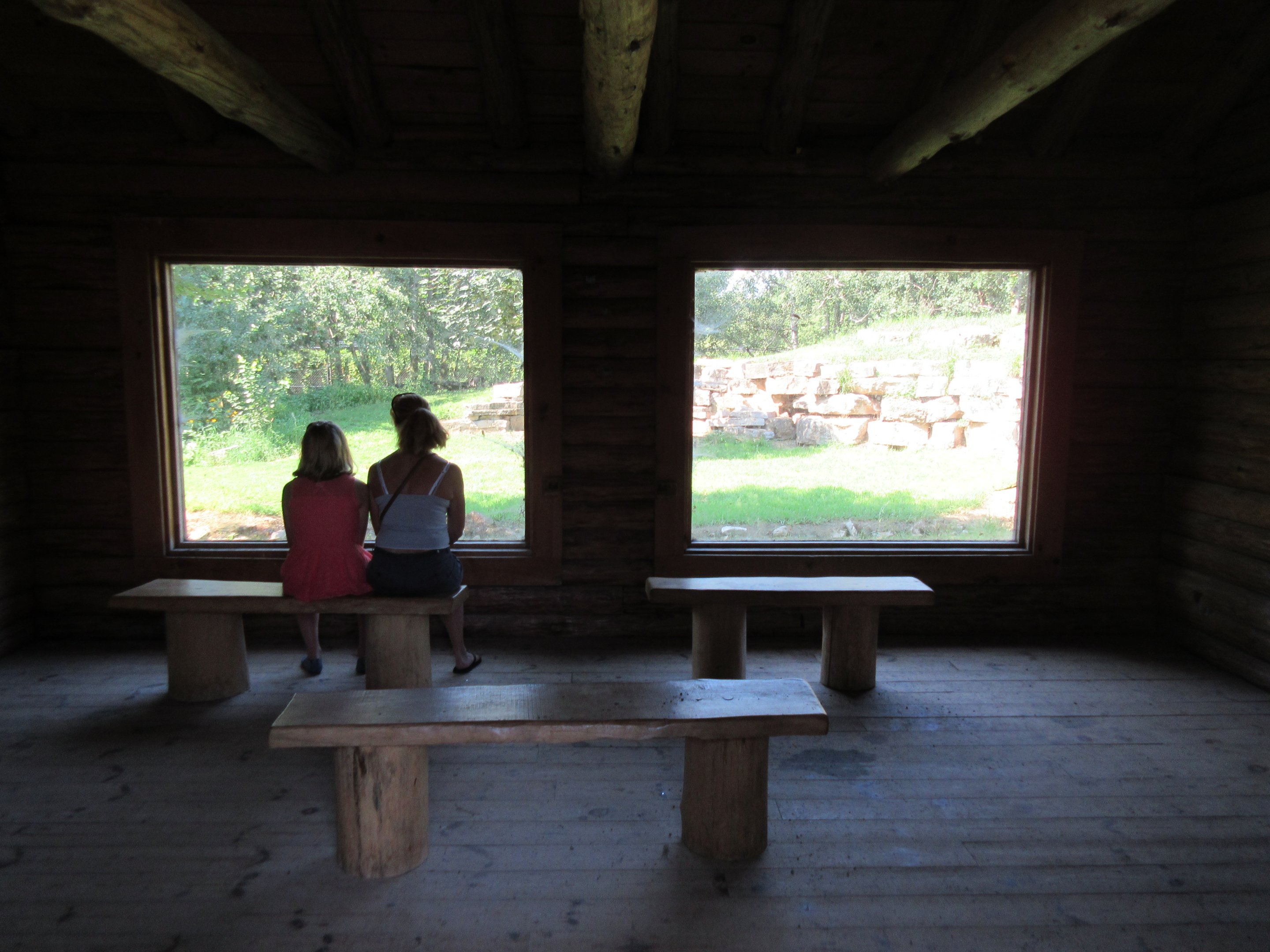 1-Acre Grey Wolf Exhibit - Viewing Area