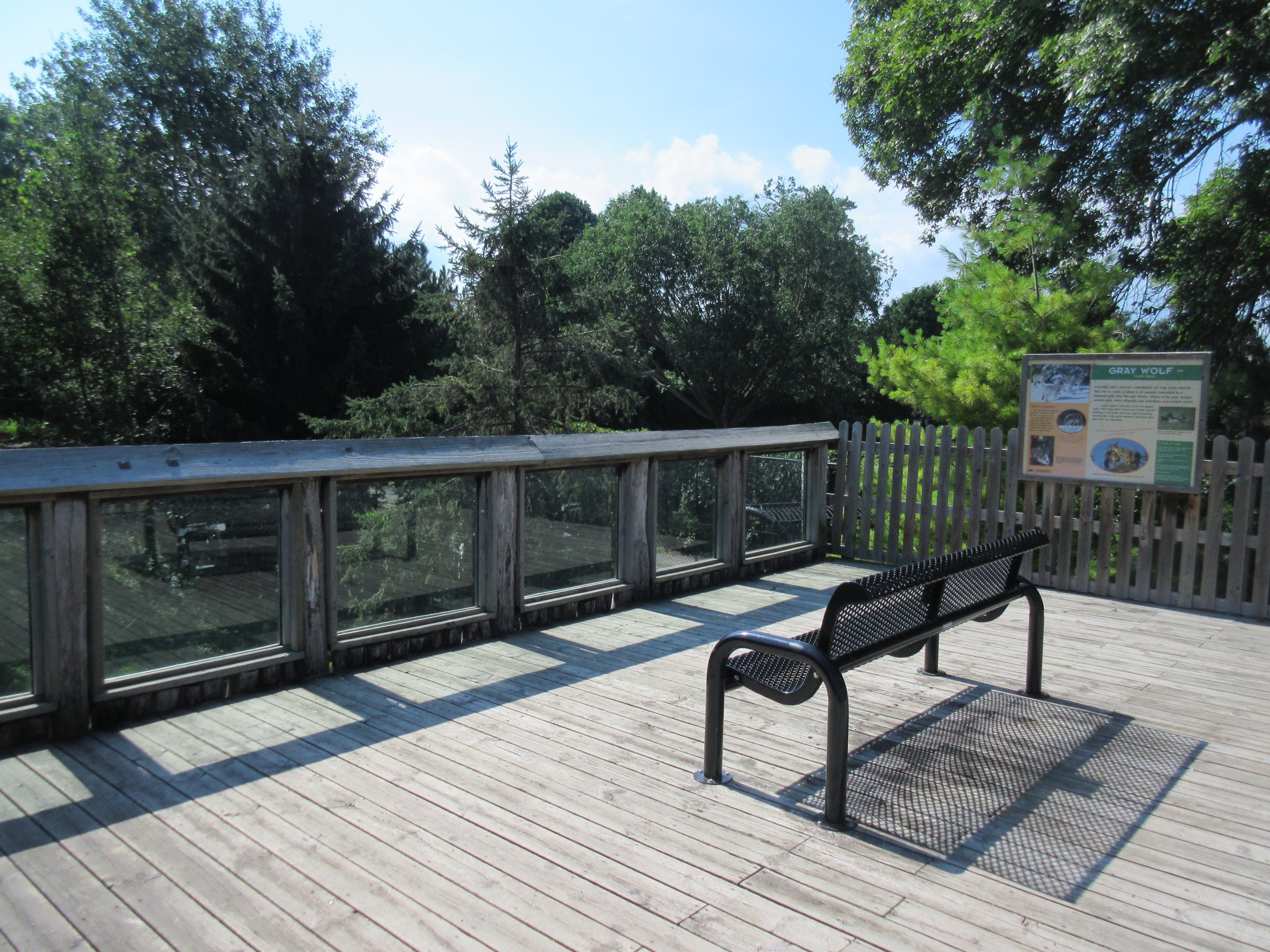 1-Acre Grey Wolf Exhibit - Viewing Deck
