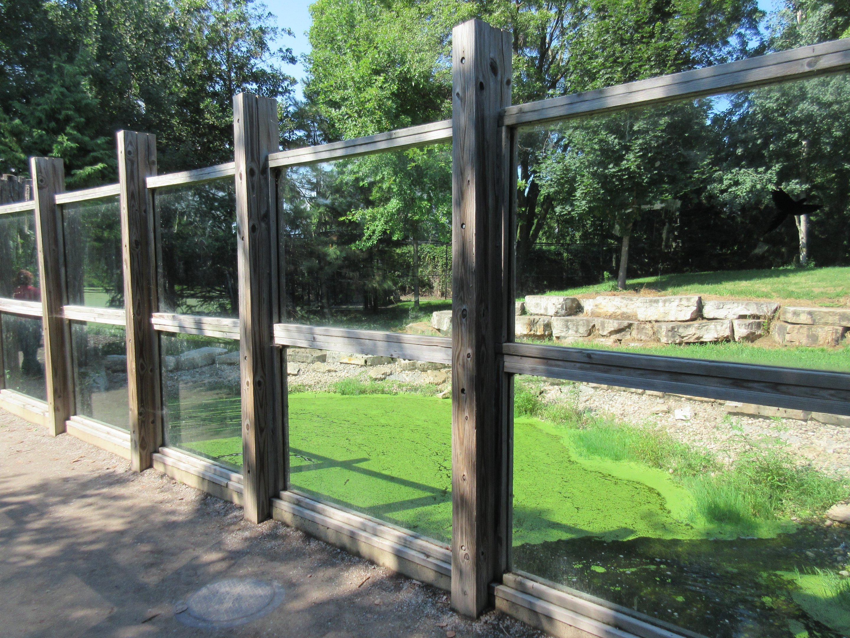 1-Acre Grey Wolf Exhibit