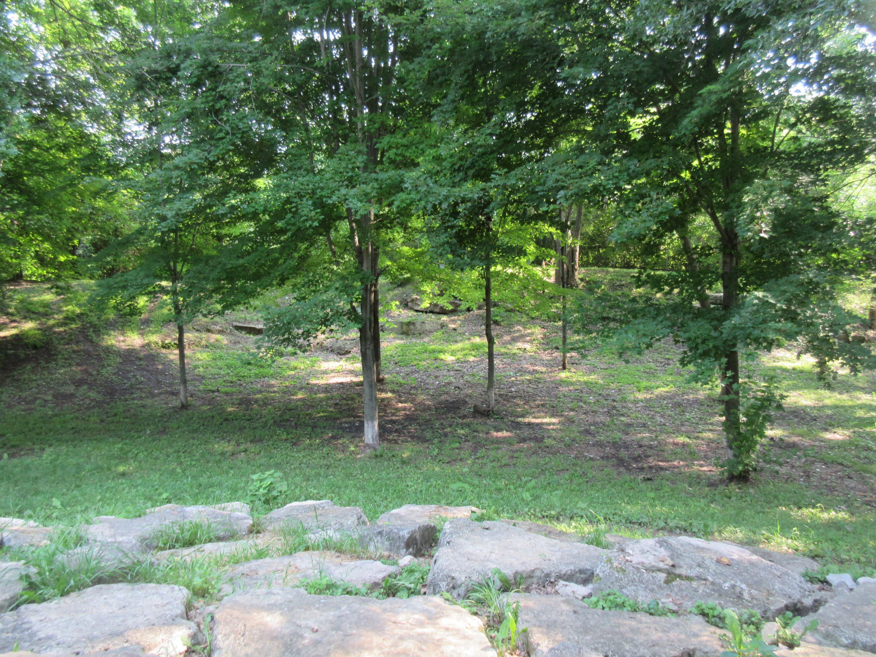 1-Acre Grey Wolf Exhibit