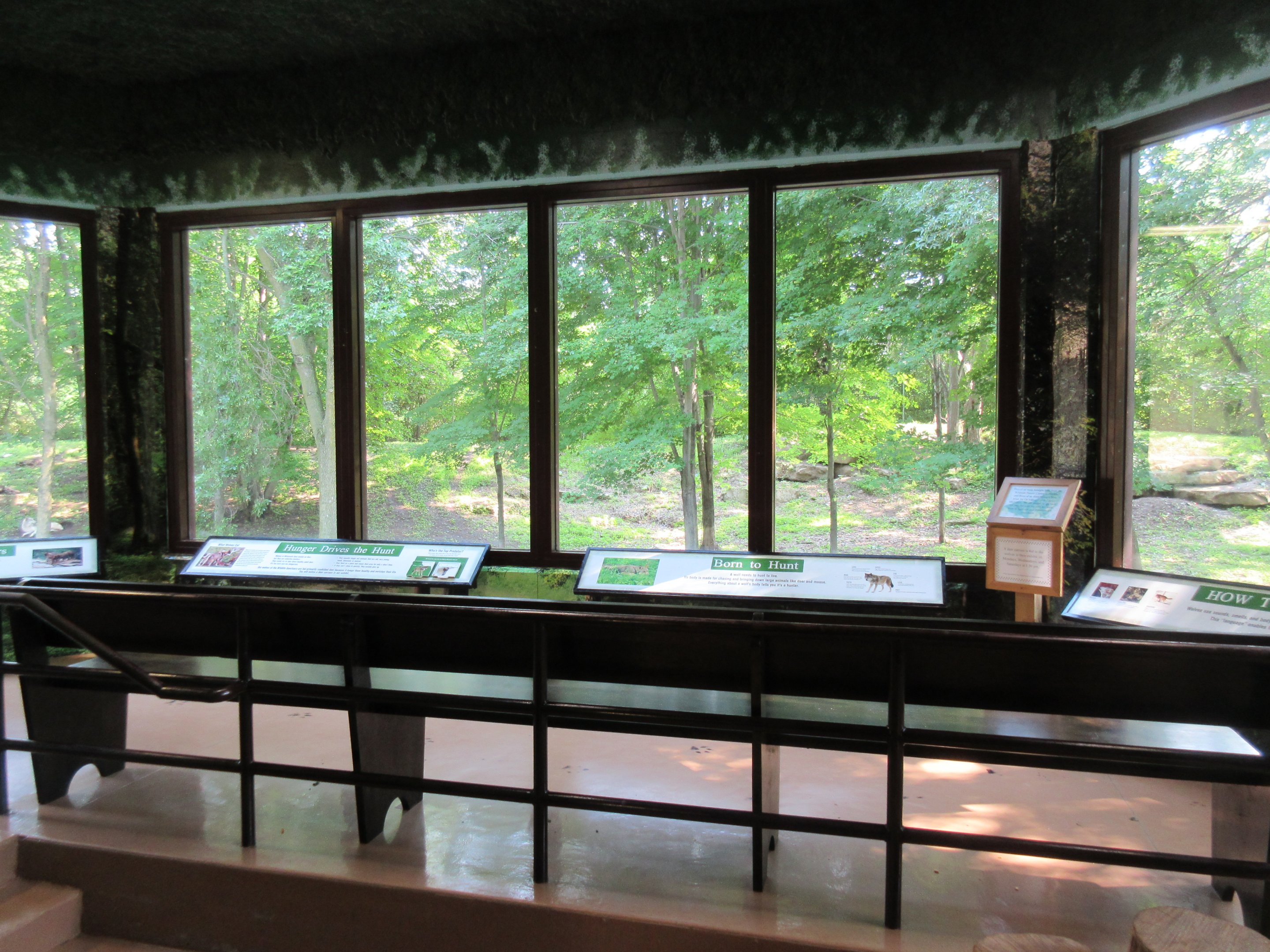 1-Acre Grey Wolf Exhibit