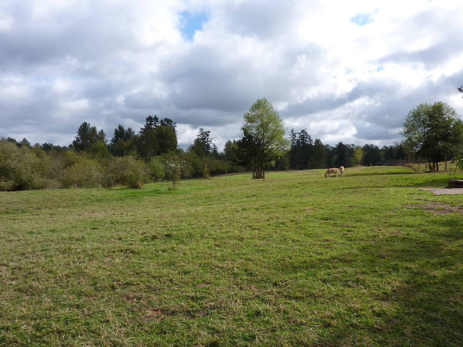1-Acre Kulan Enclosure