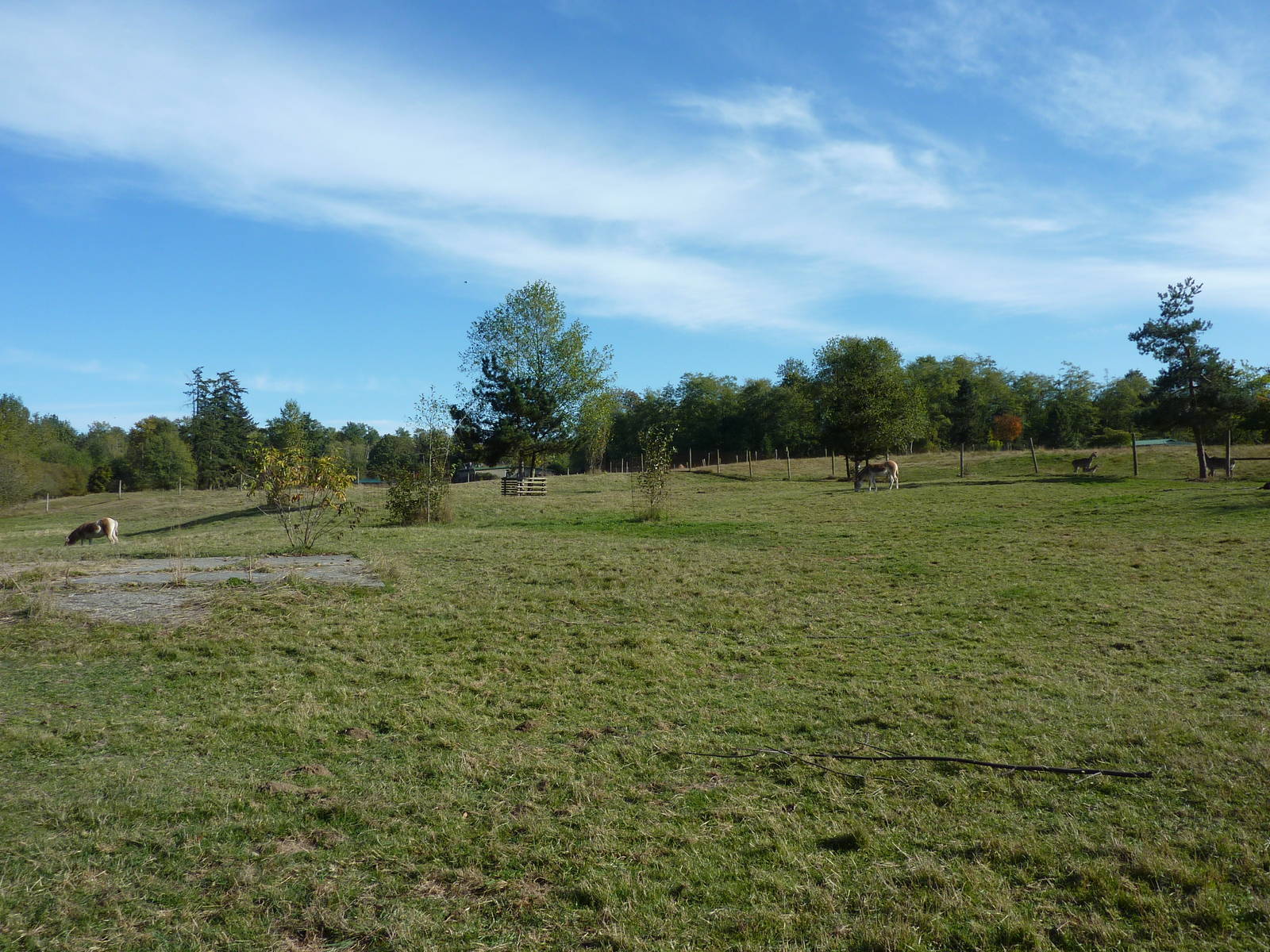 1 Acre Kulan Enclosure