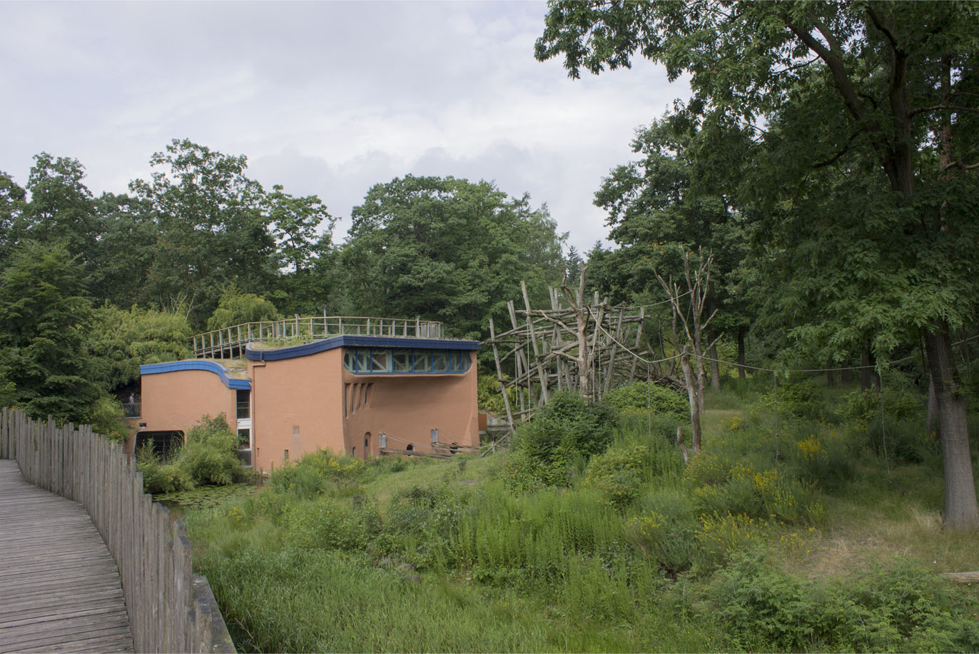 #1 Bonobo exhibit in the world?