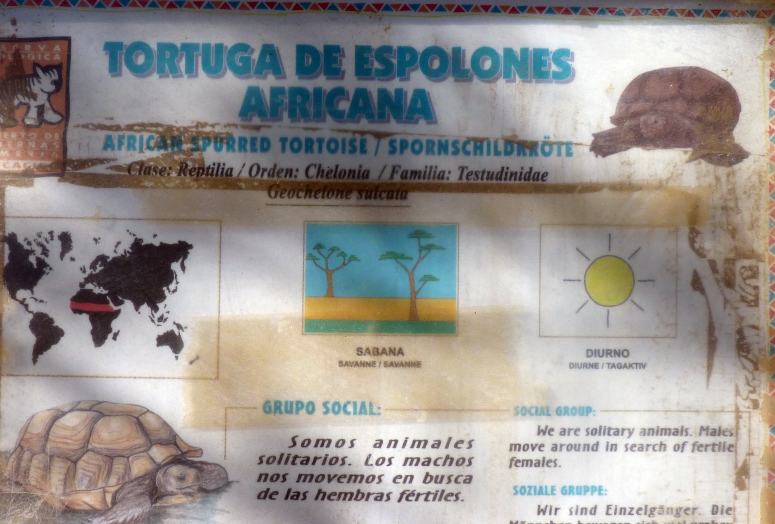 +1 for following good taxonomic school