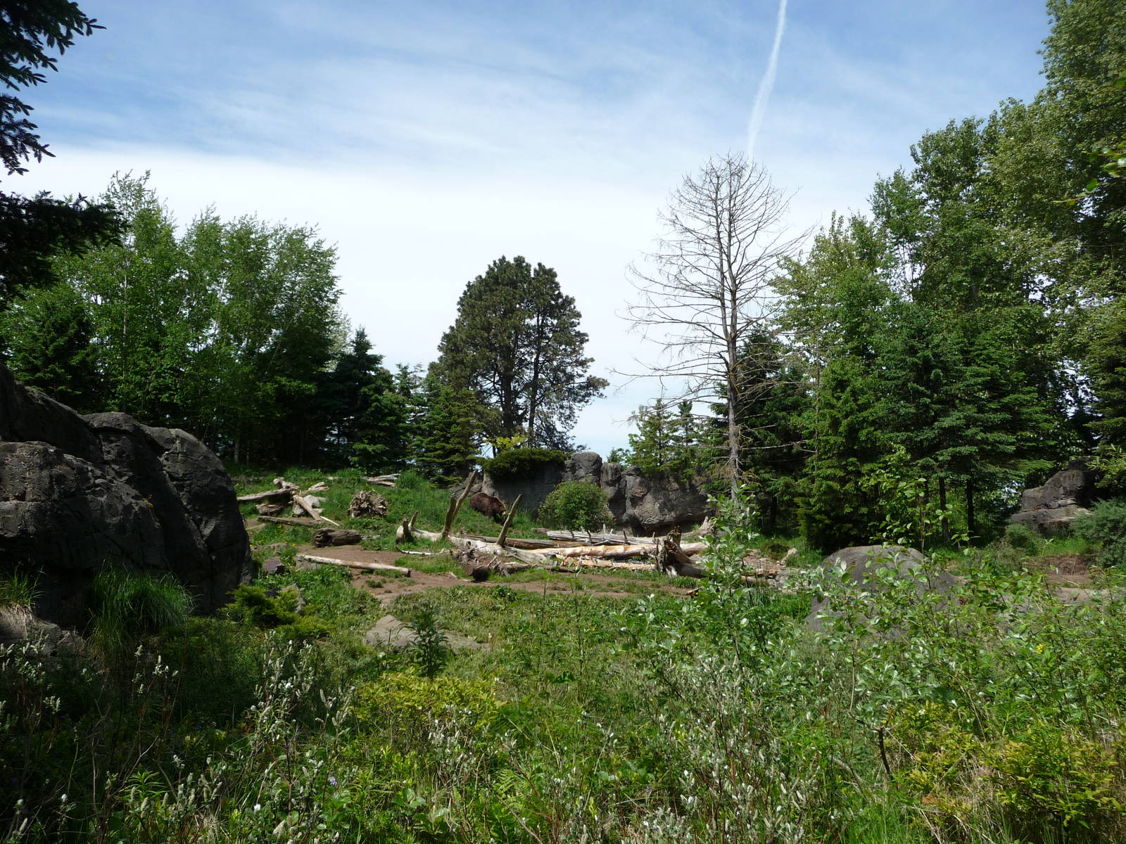 # 1 Grizzly Bear Exhibit in North America?