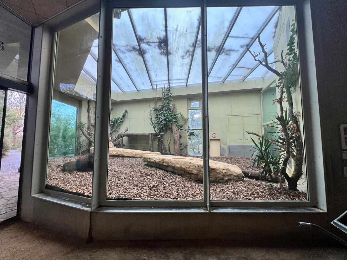 #1 Indoor Area for the Asiatic Lions