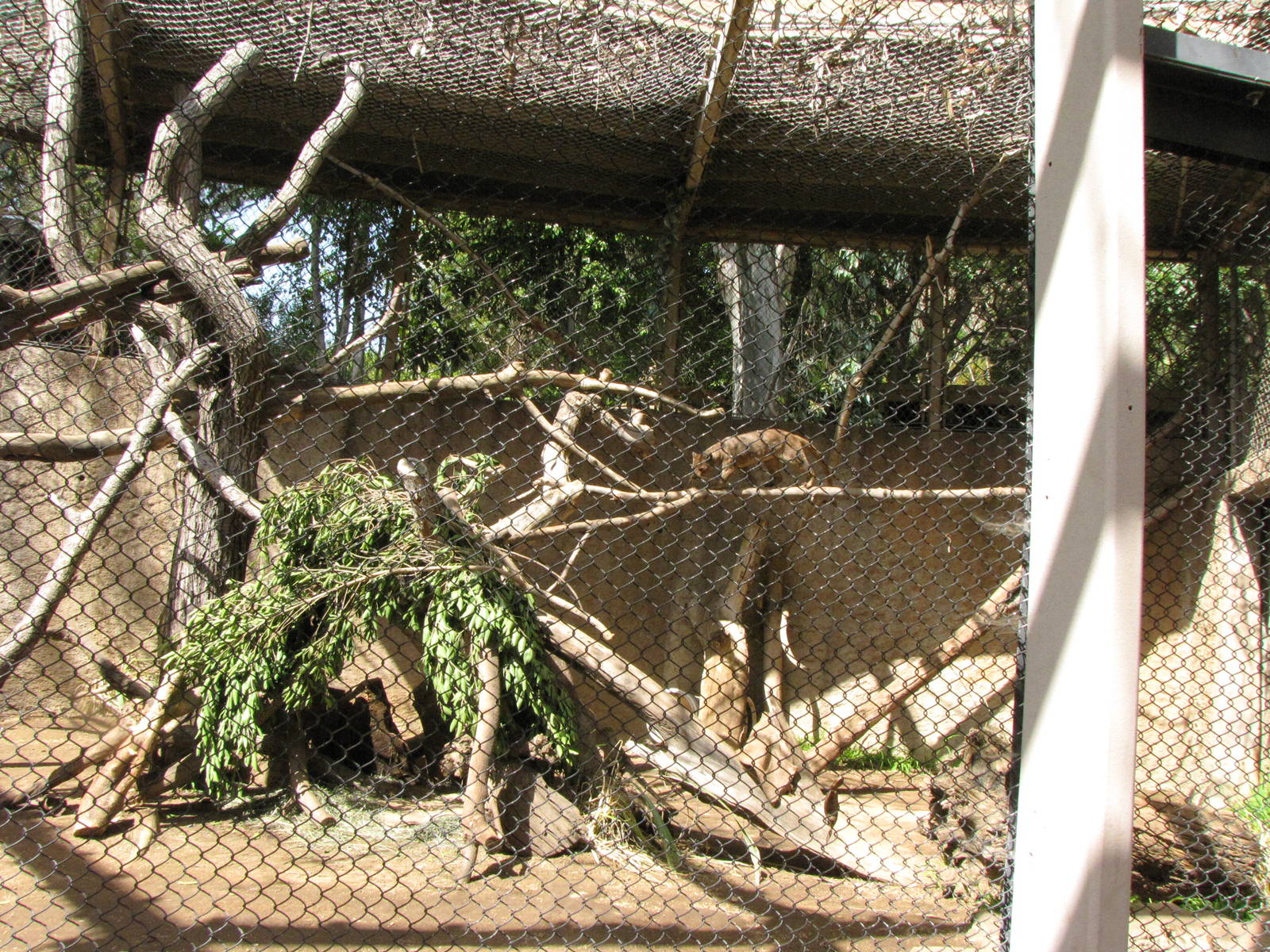 1 of 2 Fossa Enclosures