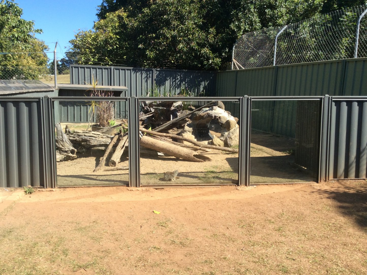 1 of 2 meerkat enclosures