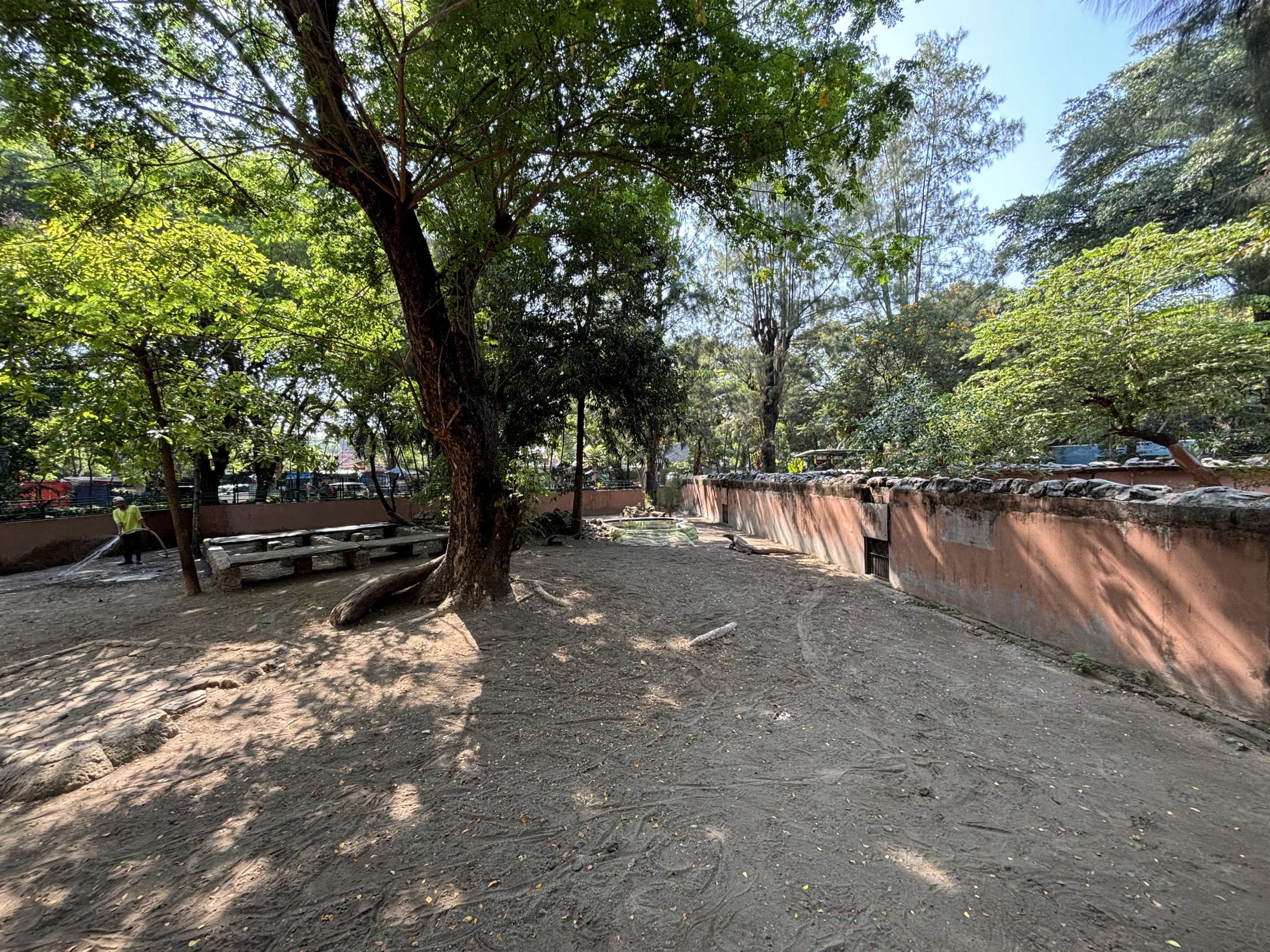 1 of 8 huge Komodo Dragon Exhibits