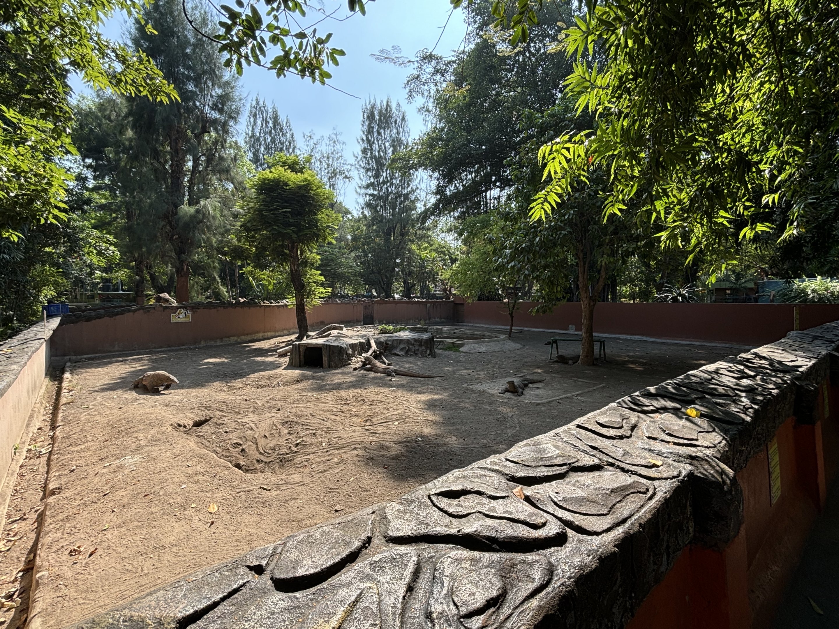 1 of 8 huge Komodo Dragon Exhibits