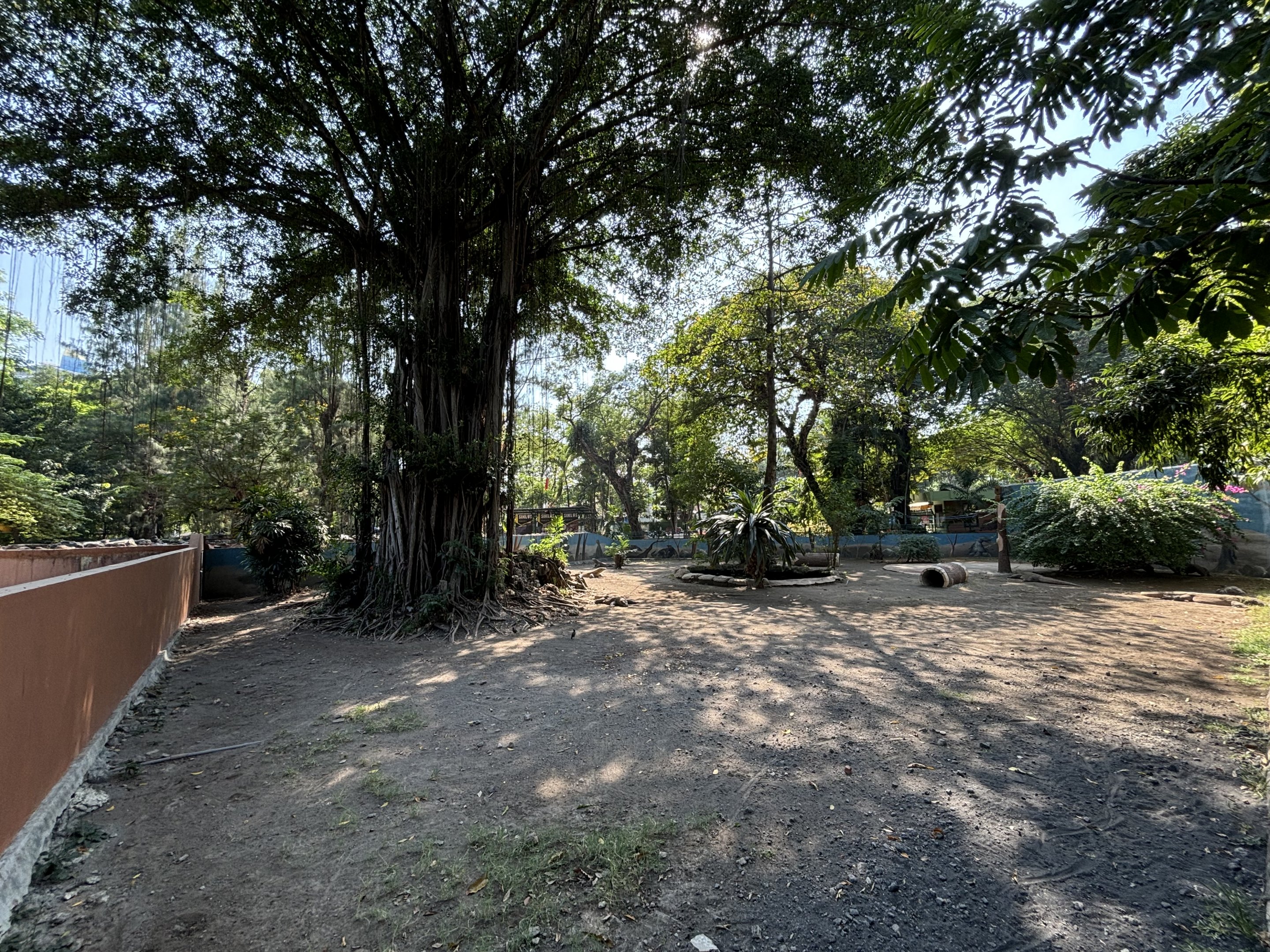 1 of 8 huge Komodo Dragon Exhibits