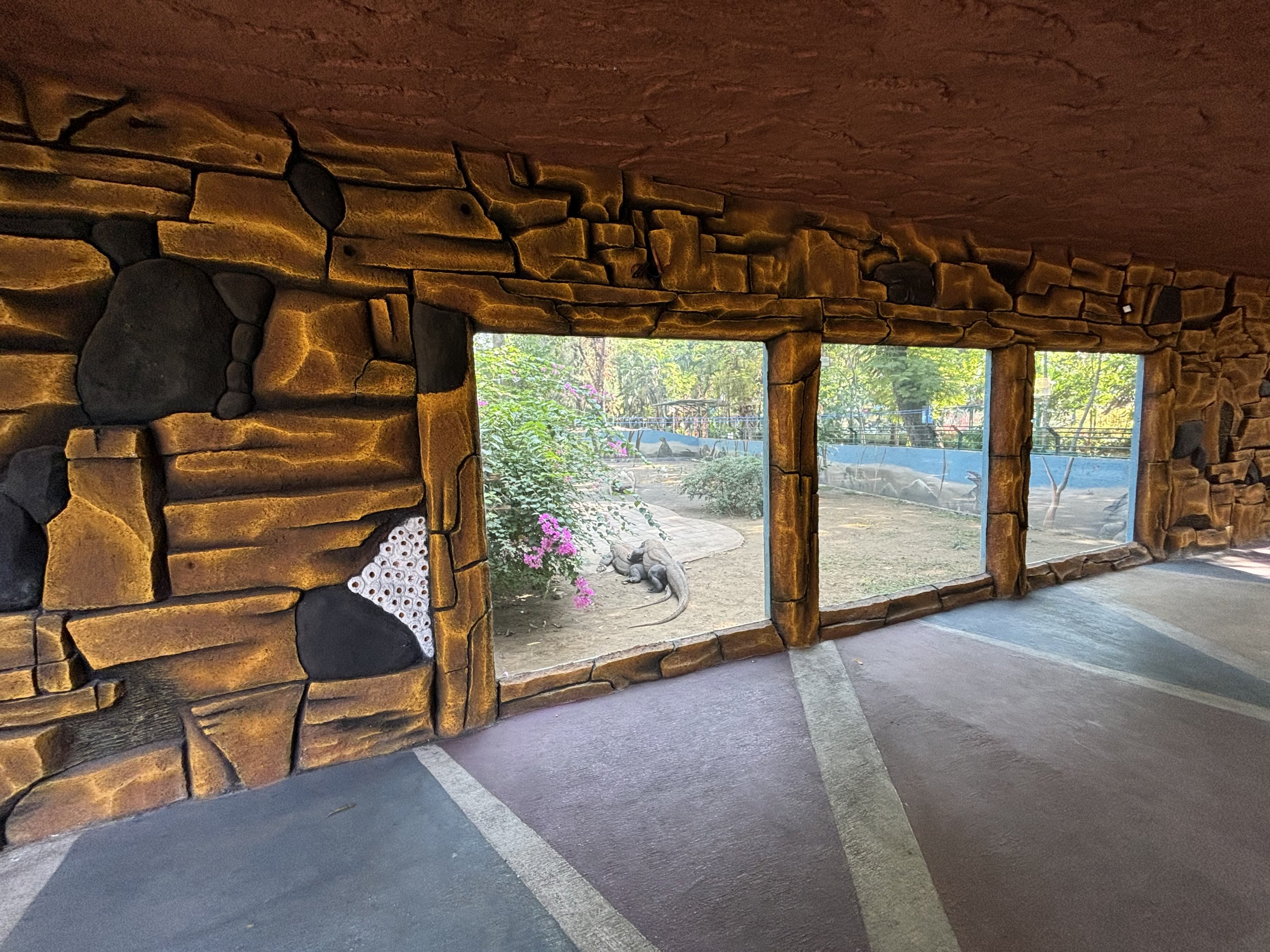 1 of 8 huge Komodo Dragon Exhibits