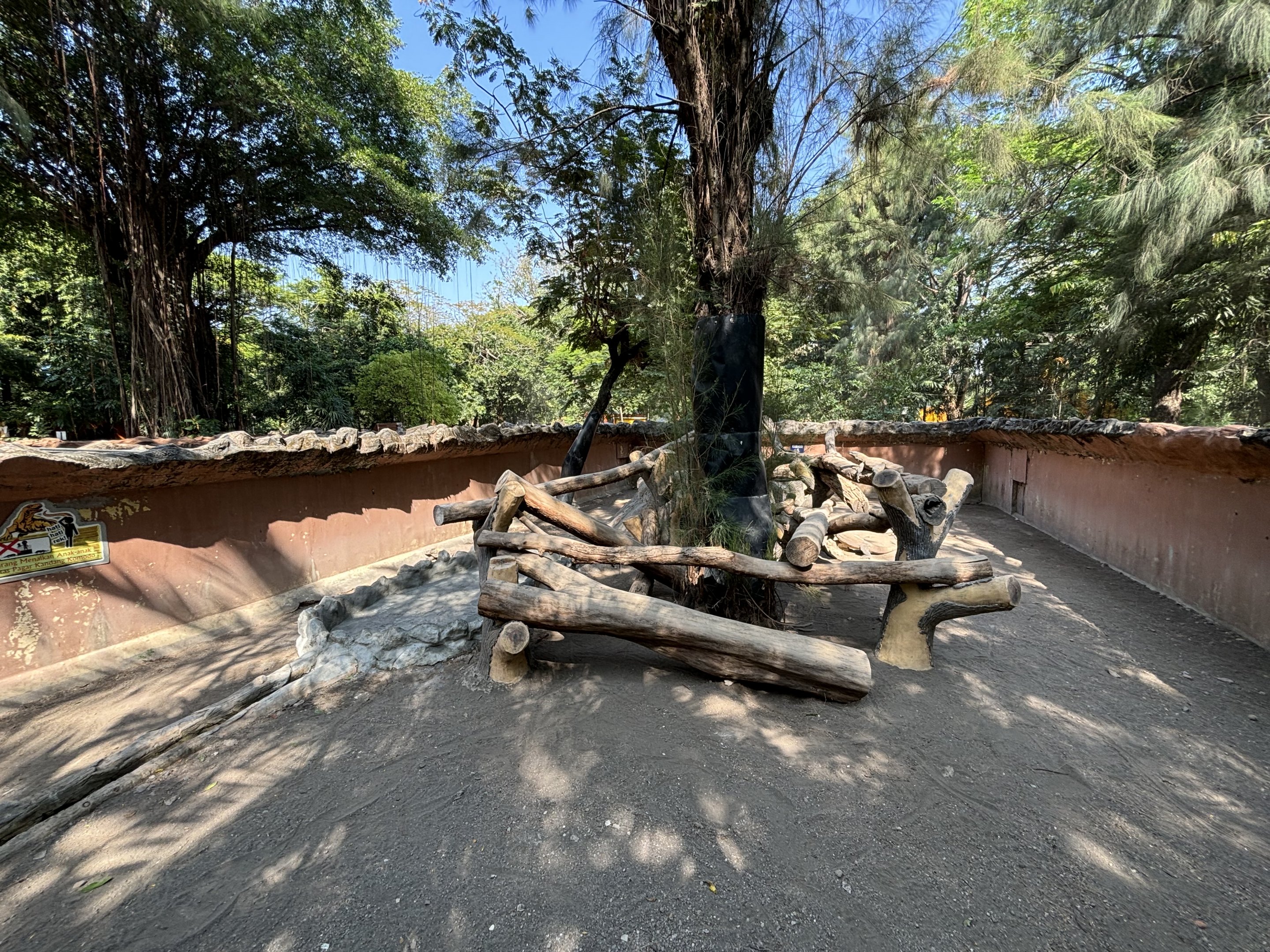 1 of 8 huge Komodo Dragon Exhibits