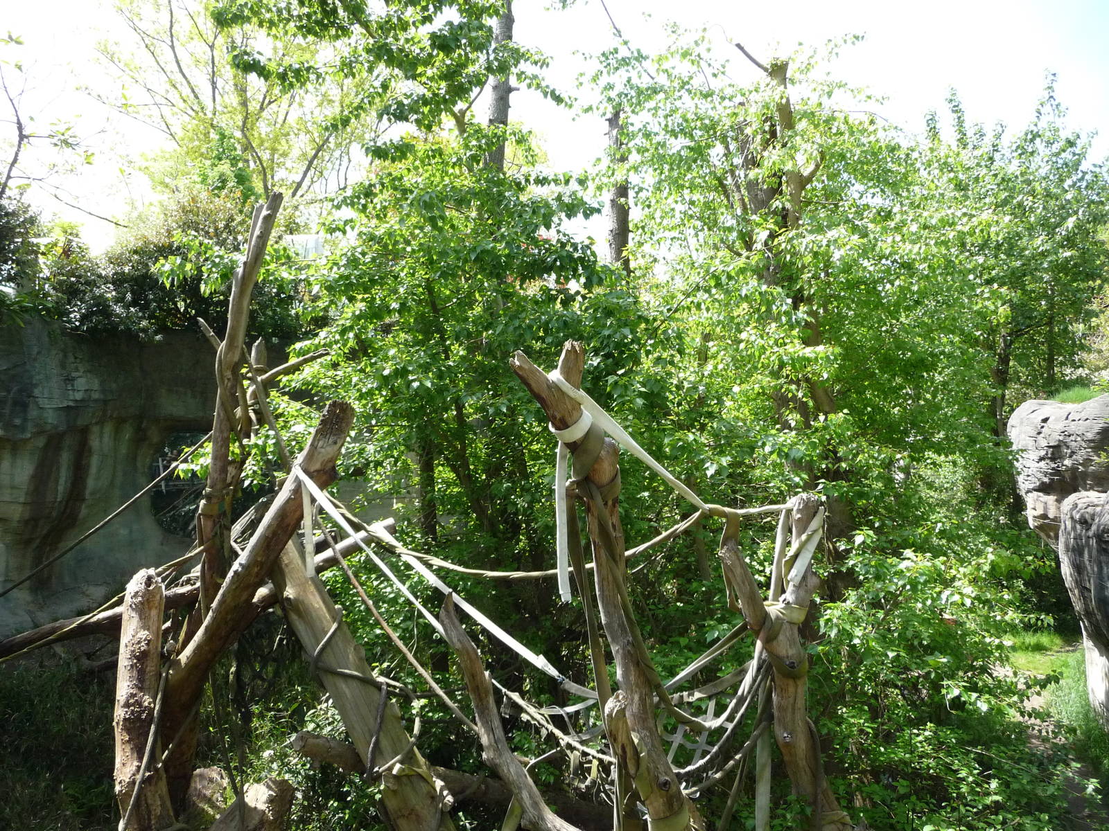 # 1 Orangutan Exhibit in North America?