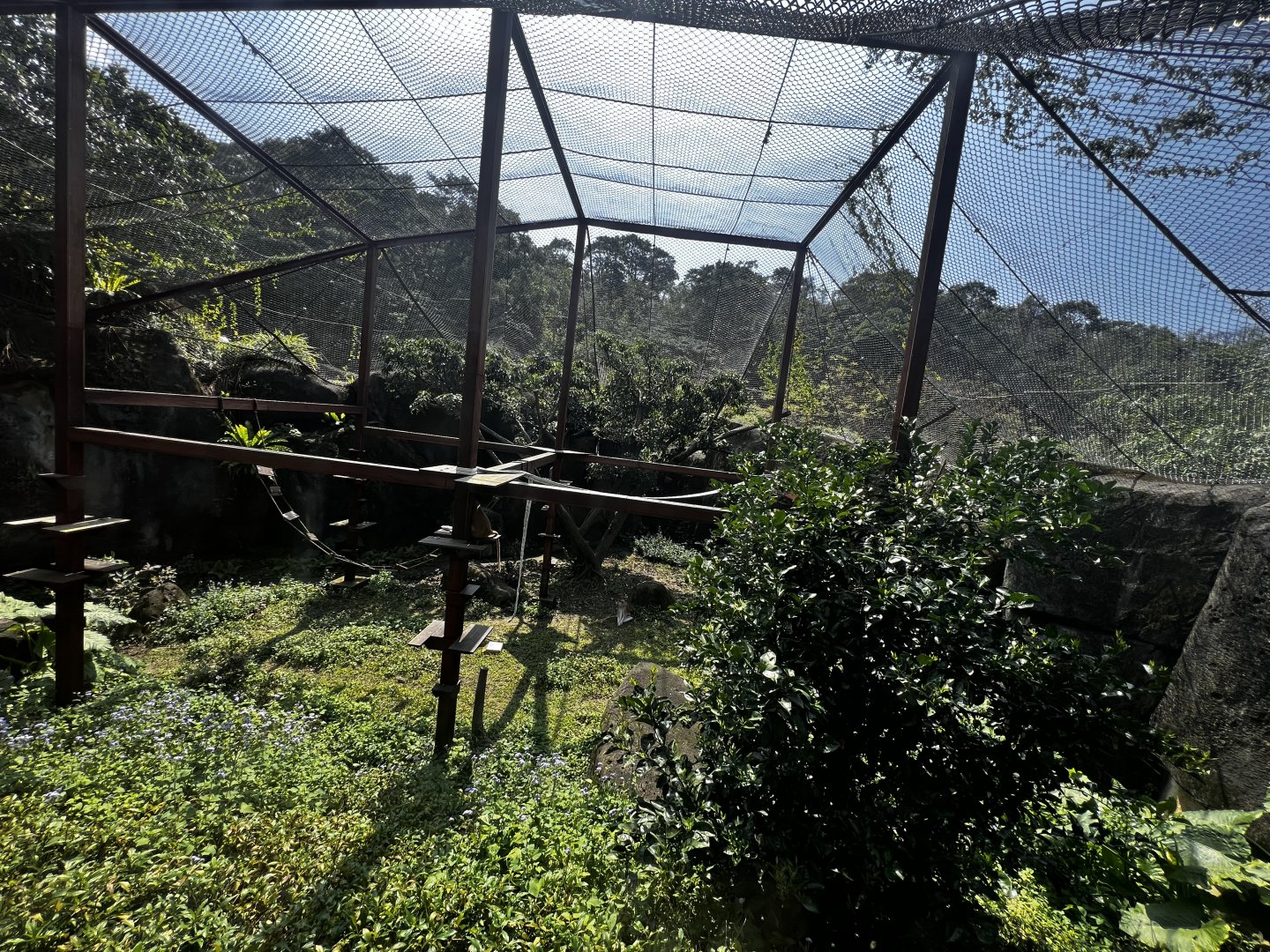 #1 Pastas Monkey Enclosure