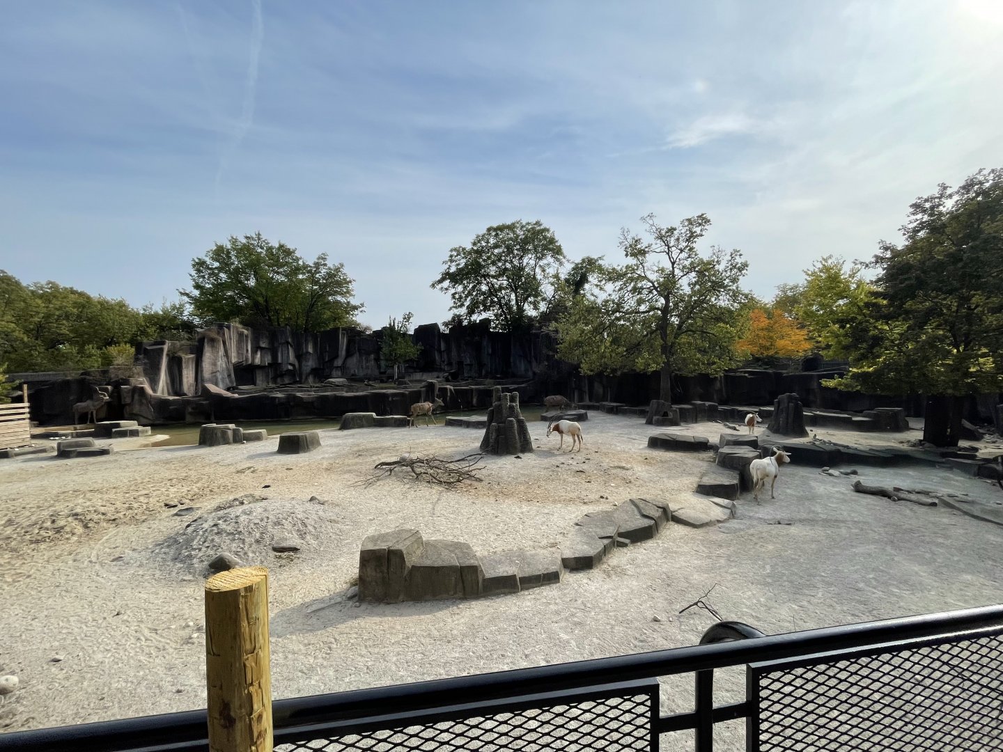 10/11/2024 - African Watering Hole Enclosure