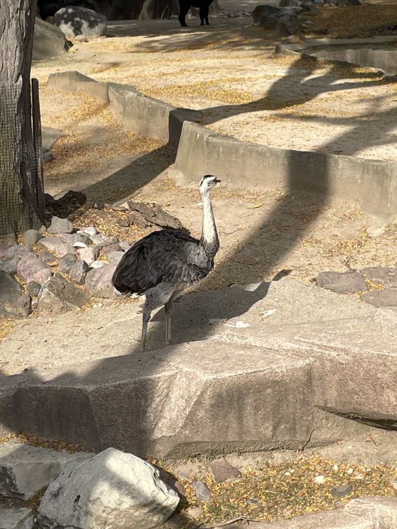 10/11/2024 - Greater Rhea