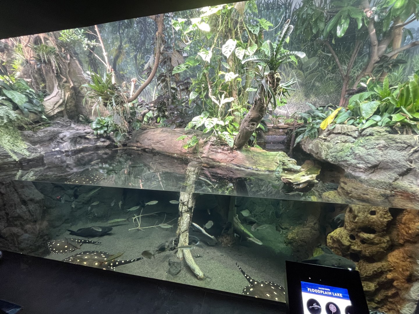 10/15/2024 - Floodplain Lake