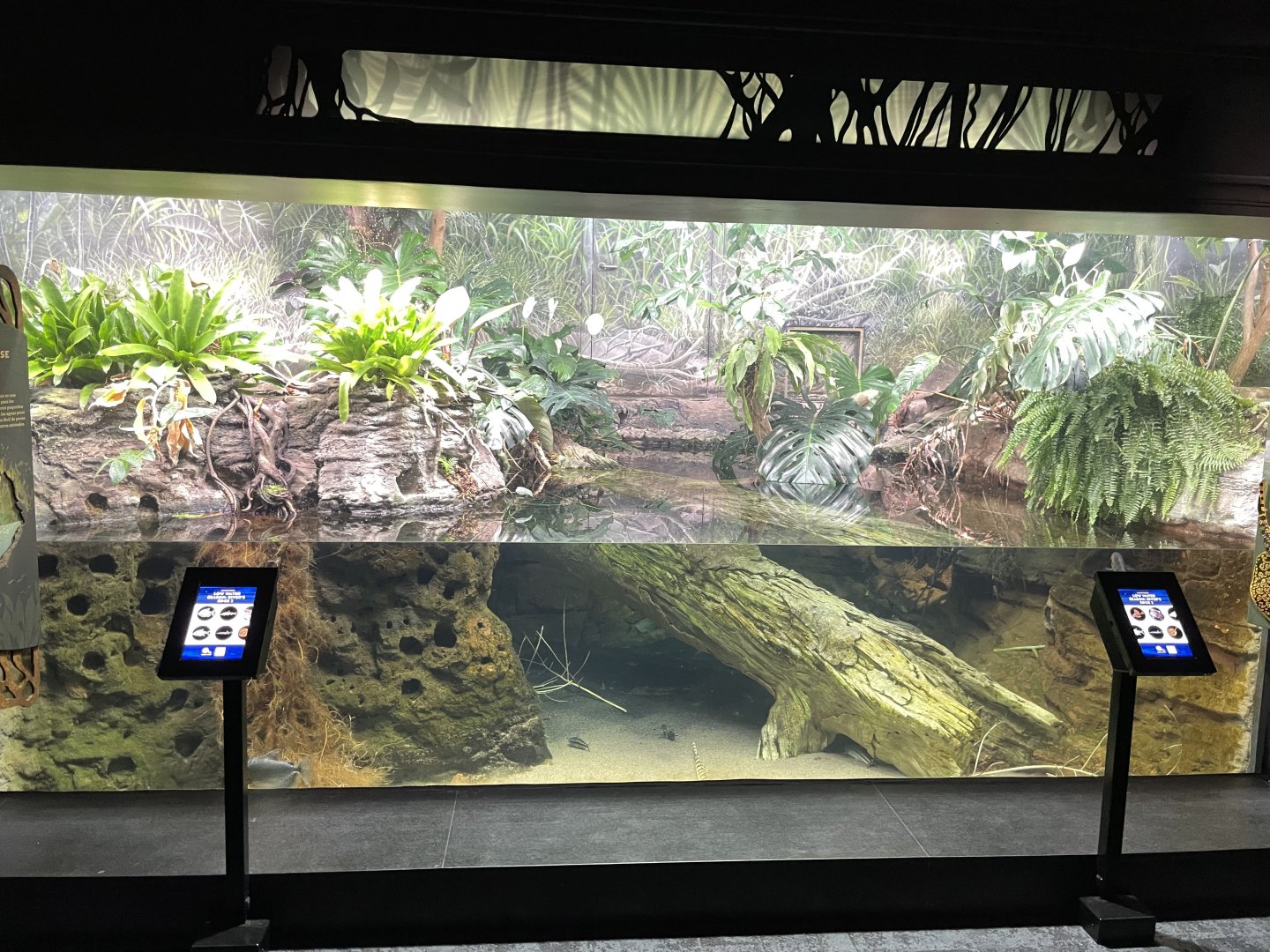 10/15/2024 - Low Water Season: River's Edge 2