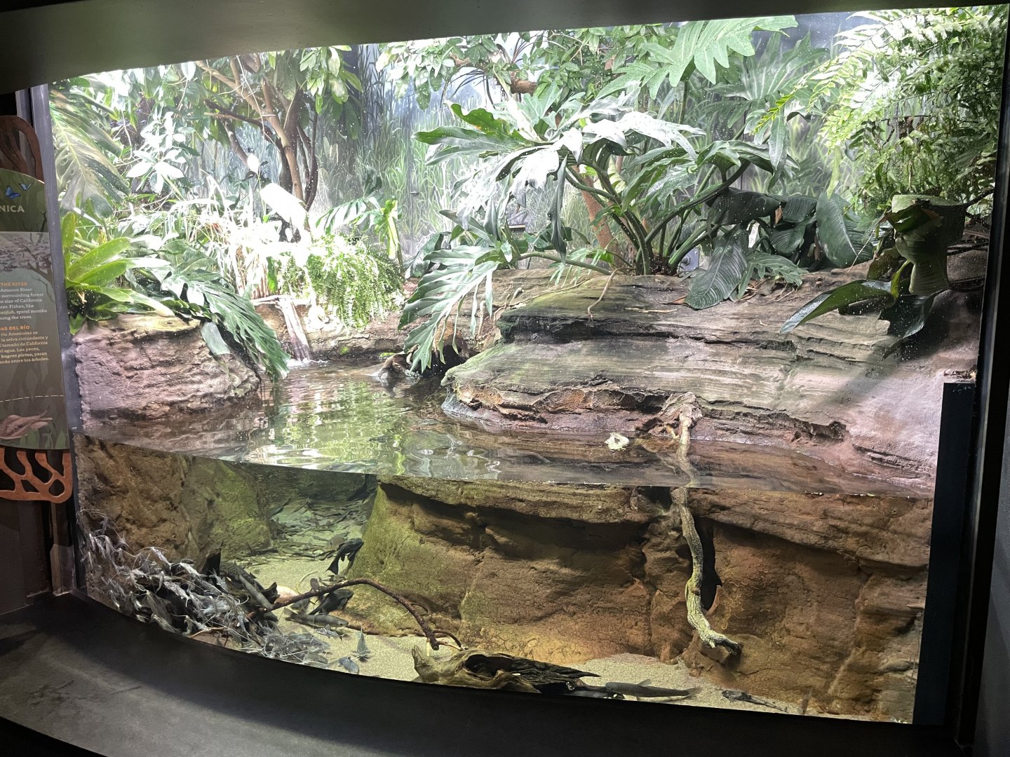 10/15/2024 - Low Water Season: River's Edge