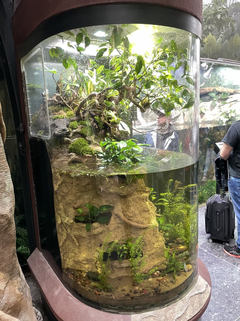 10/15/24 - High Water