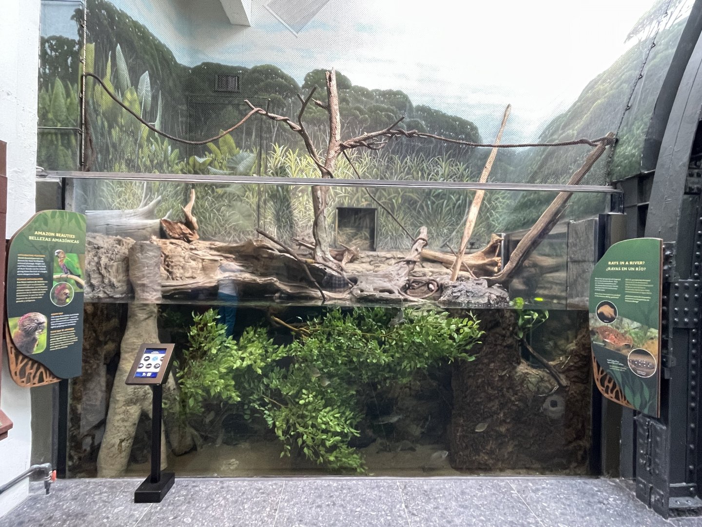 10/15/24 - "Parrots"