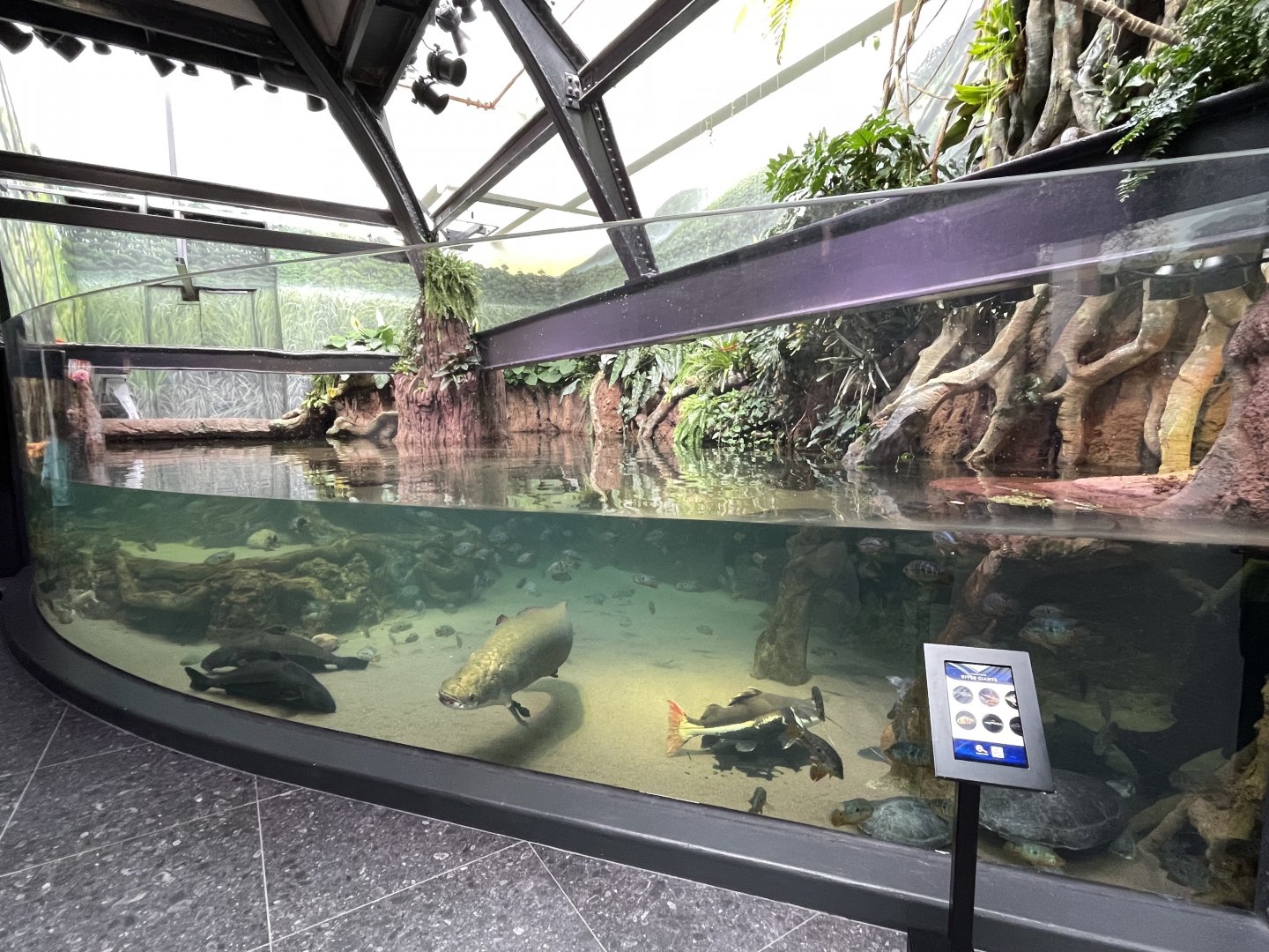 10/15/24 - River Giants