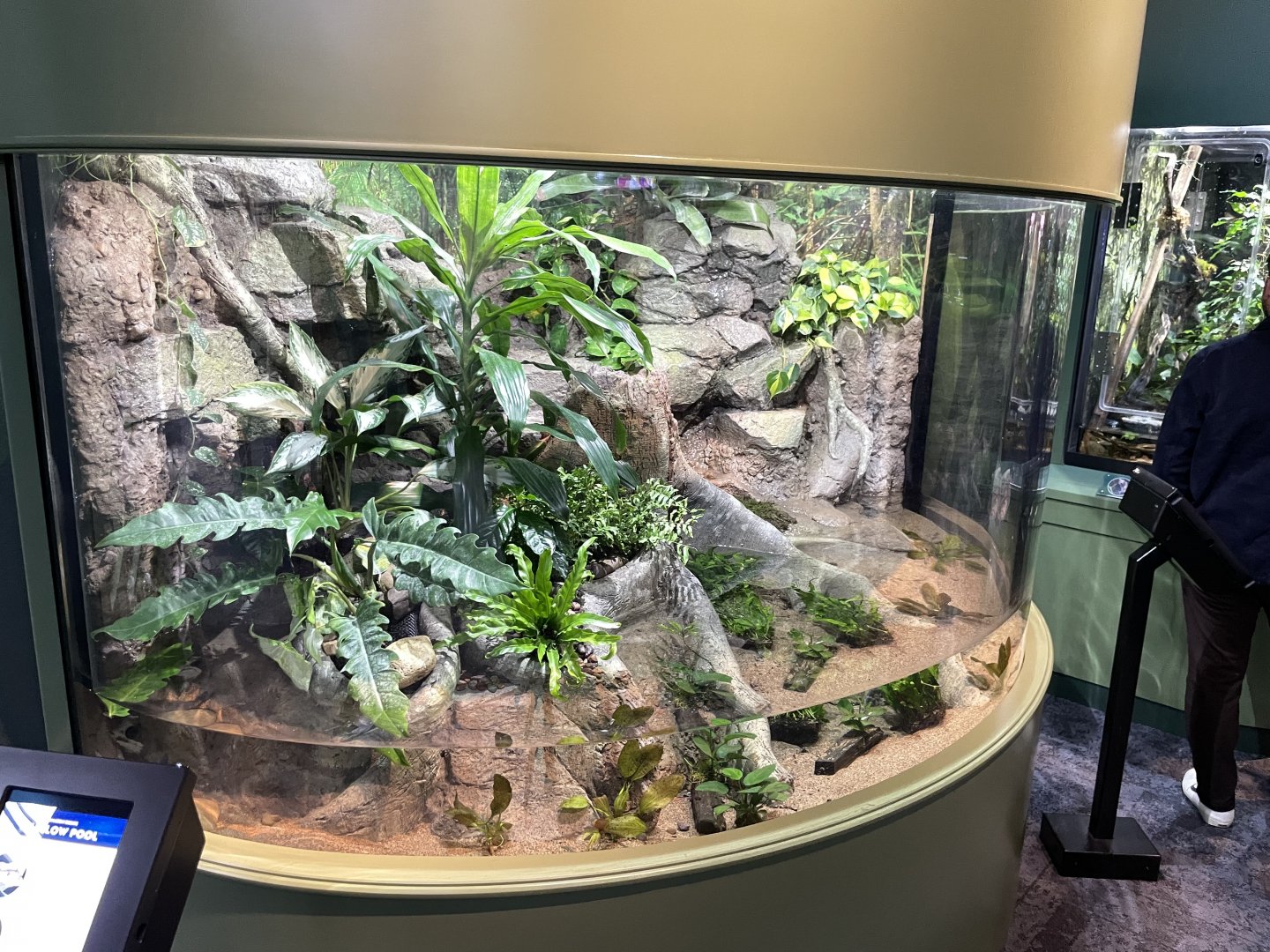 10/15/24 - Shallow Pool