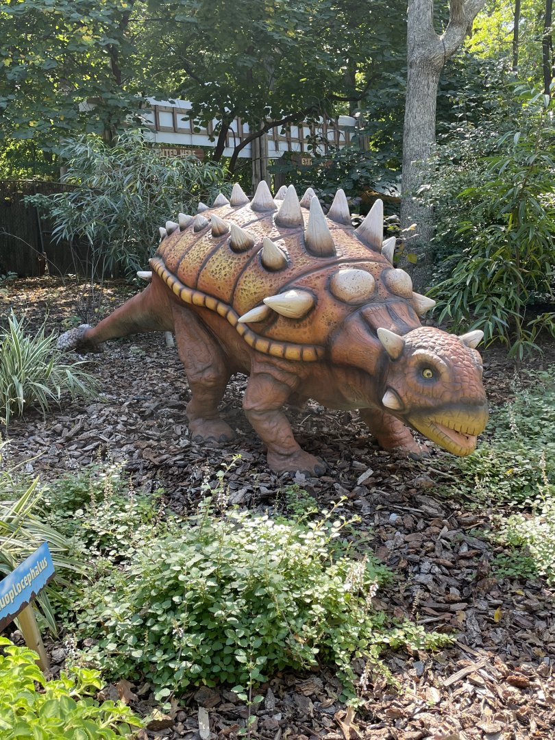 10/4/2025 - Euoplocephalus