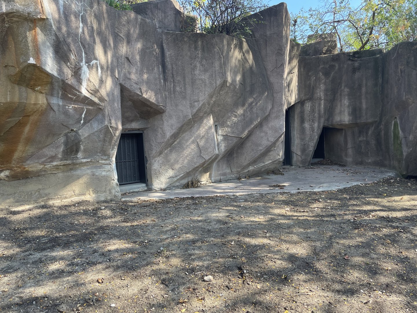 10/4/2025 - Former Asian Black Bear Den Doors