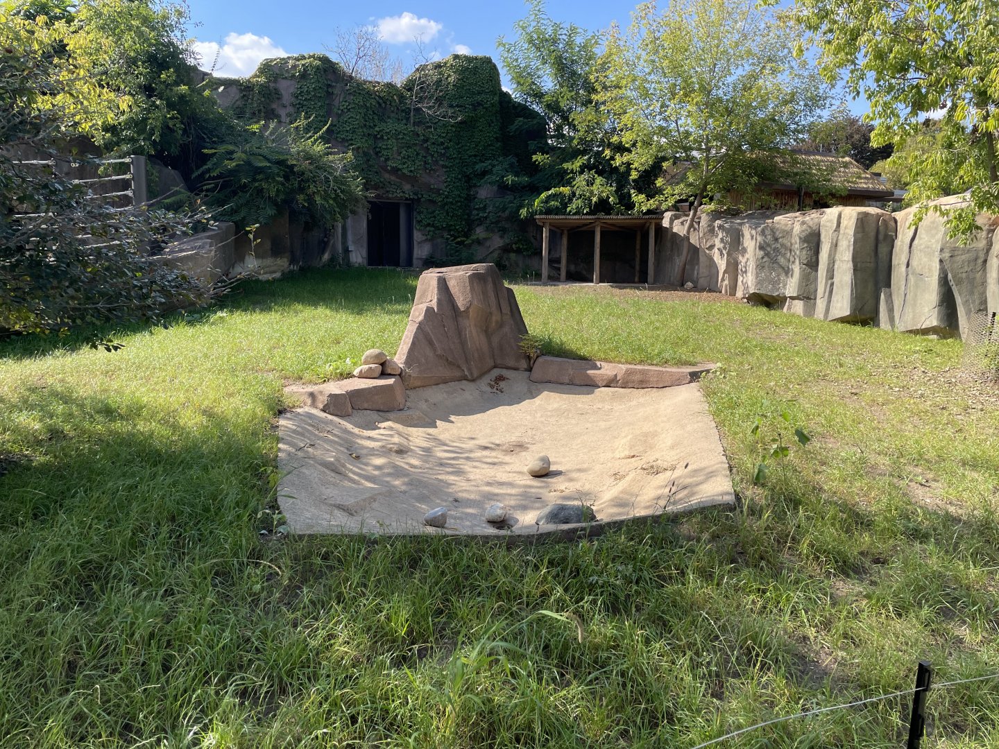 10/4/2025 - Future Red River Hog Habitat